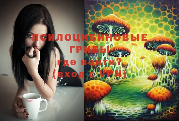 тгк Абинск
