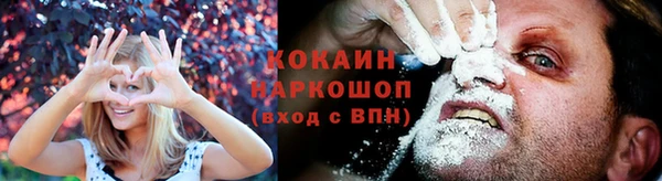тгк Абинск