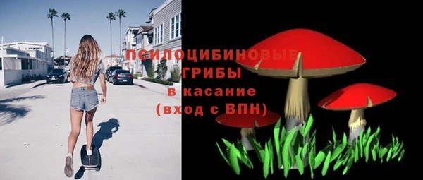 мяу мяу мука Абдулино