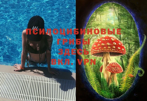 тгк Абинск