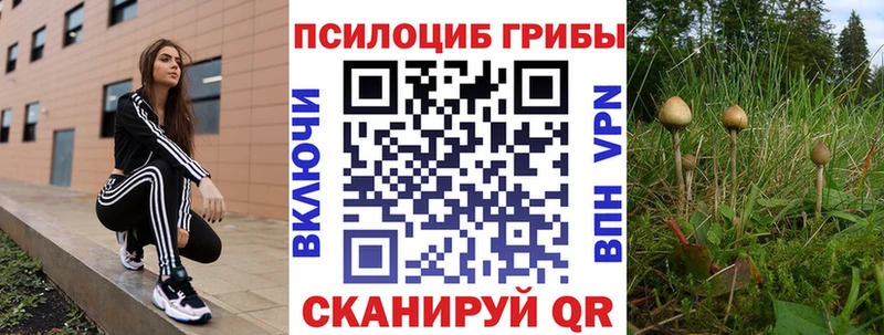Галлюциногенные грибы Psilocybine cubensis  Холмск 